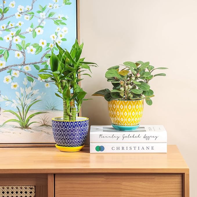 Colorful Ceramic Indoor Plant Pots