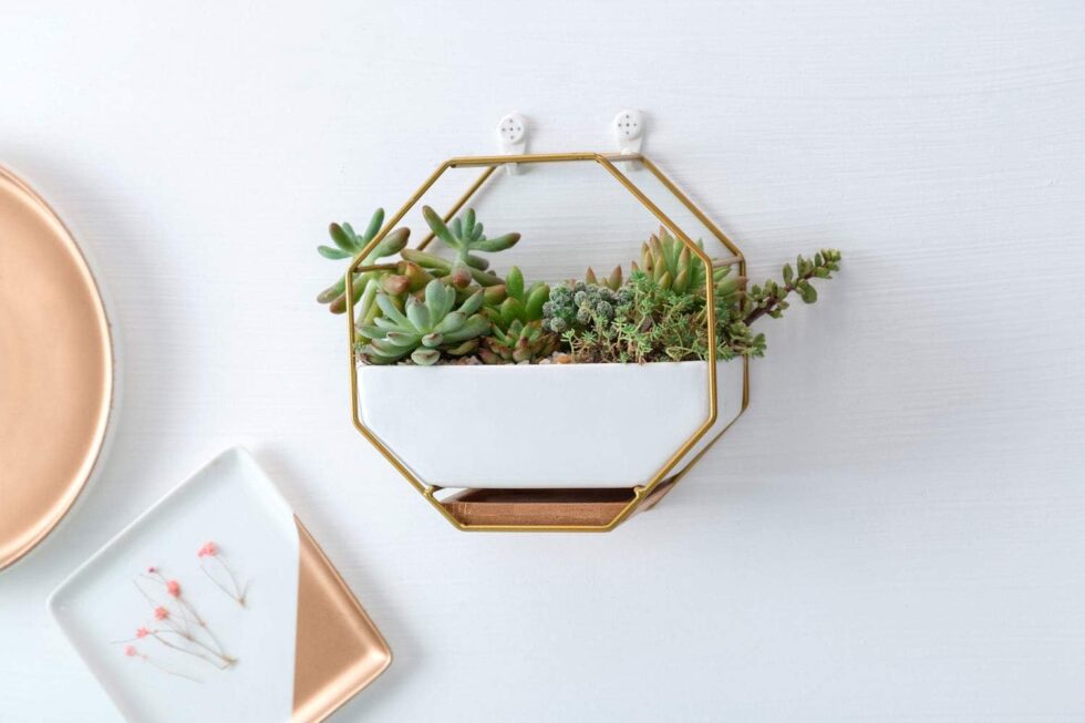 VanEnjoy 7" White Ceramic Wall Planters Vase and Copper,Drainage Hole with Bamboo Tray - Succulent Pot Air Plants Mini Cactus Artificial Flowers Hanging Geometric Hexagon Wall Decor (Gold Metal)