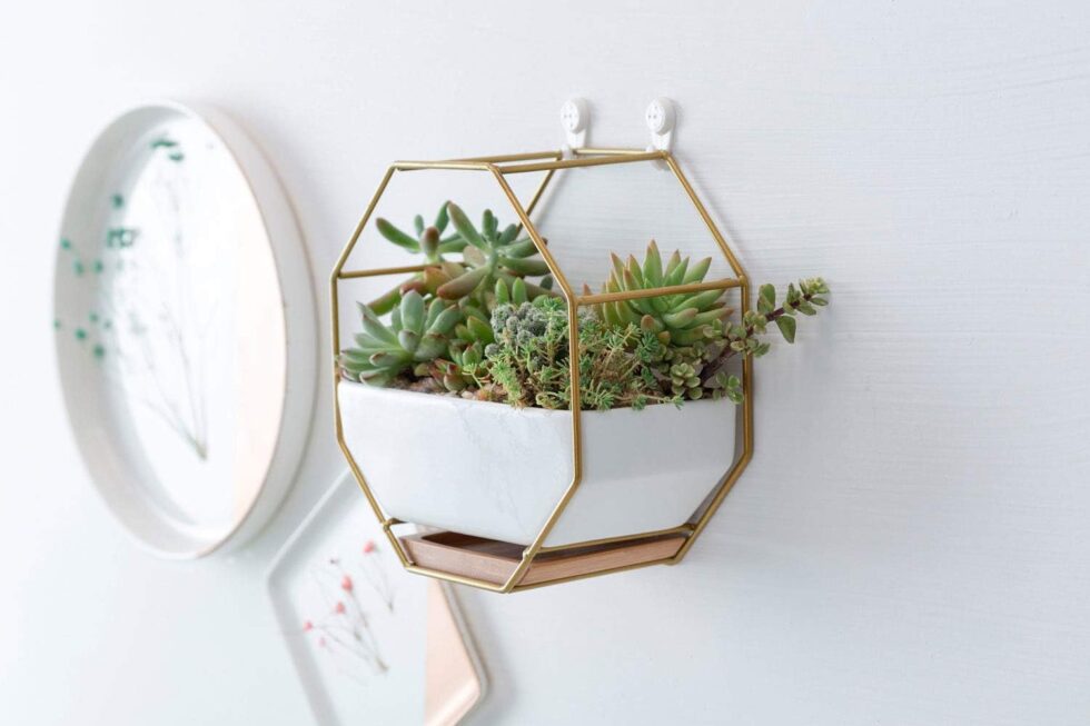 VanEnjoy 7" White Ceramic Wall Planters Vase and Copper,Drainage Hole with Bamboo Tray - Succulent Pot Air Plants Mini Cactus Artificial Flowers Hanging Geometric Hexagon Wall Decor (Gold Metal)