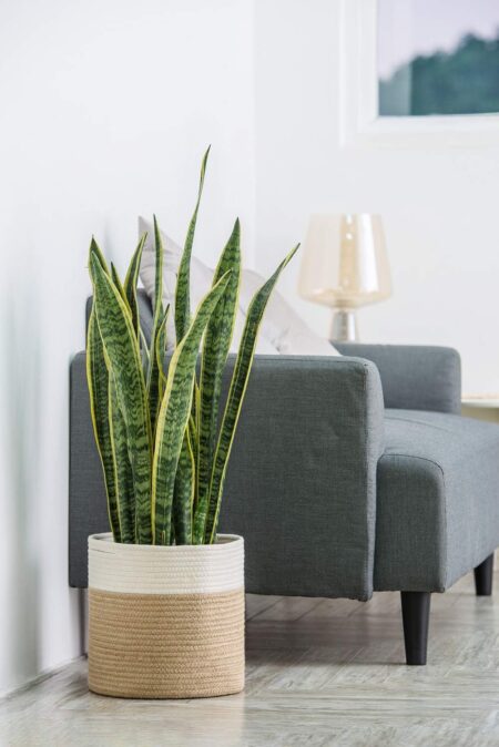 Dahey Jute Spliced Cotton Rope Plant Basket Modern Woven Storage Basket for 10" Floor Indoor Planter, Decorative Flower Pots Cover Laundry Bin with Handle Rustic Home Decor, White and Beige