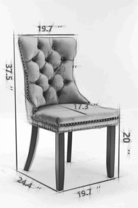 LZ LEISURE ZONE Velvet Dining Chairs Set of 2, Upholstered Accent Chairs with Button Tufted, Nailhead Trim and Back Ring Pull, Light Blue, Seat Height 20"