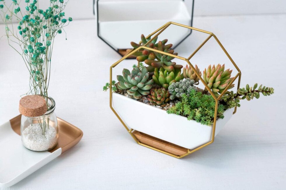 VanEnjoy 7" White Ceramic Wall Planters Vase and Copper,Drainage Hole with Bamboo Tray - Succulent Pot Air Plants Mini Cactus Artificial Flowers Hanging Geometric Hexagon Wall Decor (Gold Metal)