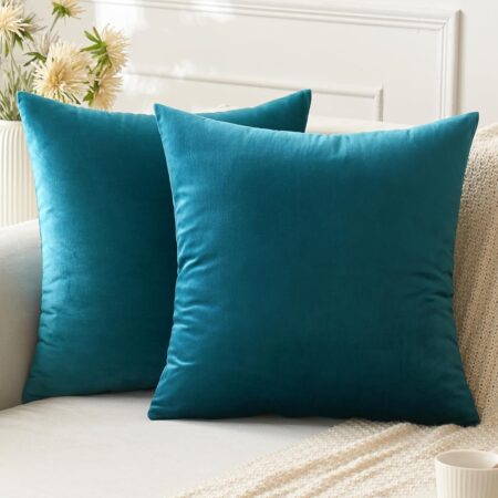 ANRODUO Pack of 2 Velvet Teal Throw Pillow Covers 18x18 Inch Decorative Pillow Covers Euro Cushion Case Soft Solid Square Cozy Modern Home Decor Pillowcase for Sofa Couch Bed Room Decor Home Decor
