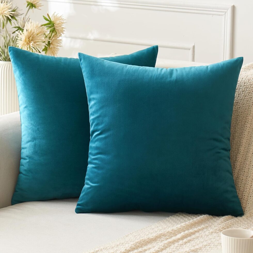 ANRODUO Pack of 2 Velvet Teal Throw Pillow Covers 18x18 Inch Decorative Pillow Covers Euro Cushion Case Soft Solid Square Cozy Modern Home Decor Pillowcase for Sofa Couch Bed Room Decor Home Decor