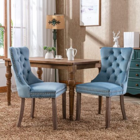 LZ LEISURE ZONE Velvet Dining Chairs Set of 2, Upholstered Accent Chairs with Button Tufted, Nailhead Trim and Back Ring Pull, Light Blue, Seat Height 20"