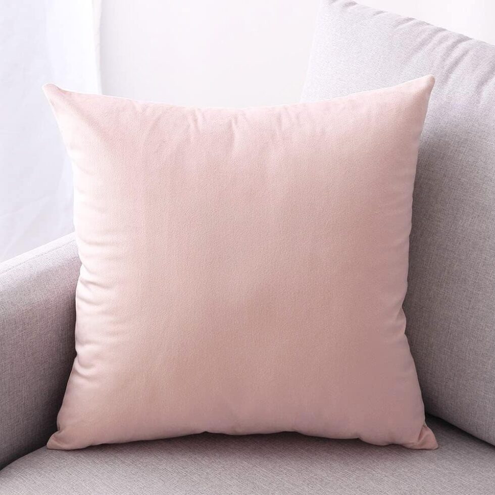 2 Pack Soft Velvet Couch Throw Pillow Covers 18x18 Inch for Sofa Living Room Bedroom (Pink)