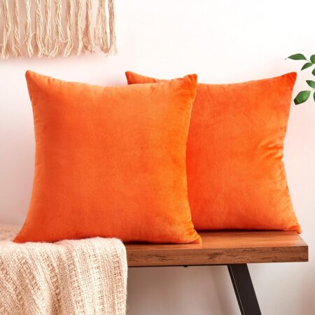 Fall Orange Throw Pillow Covers Decorative Velvet Set of 2 18x18 Inch Pillow Covers, Soft Burnt Orange Pillowcases for Couch Sofa Bed Living Room, Farmhouse Boho Decor, Accent Cushion Covers