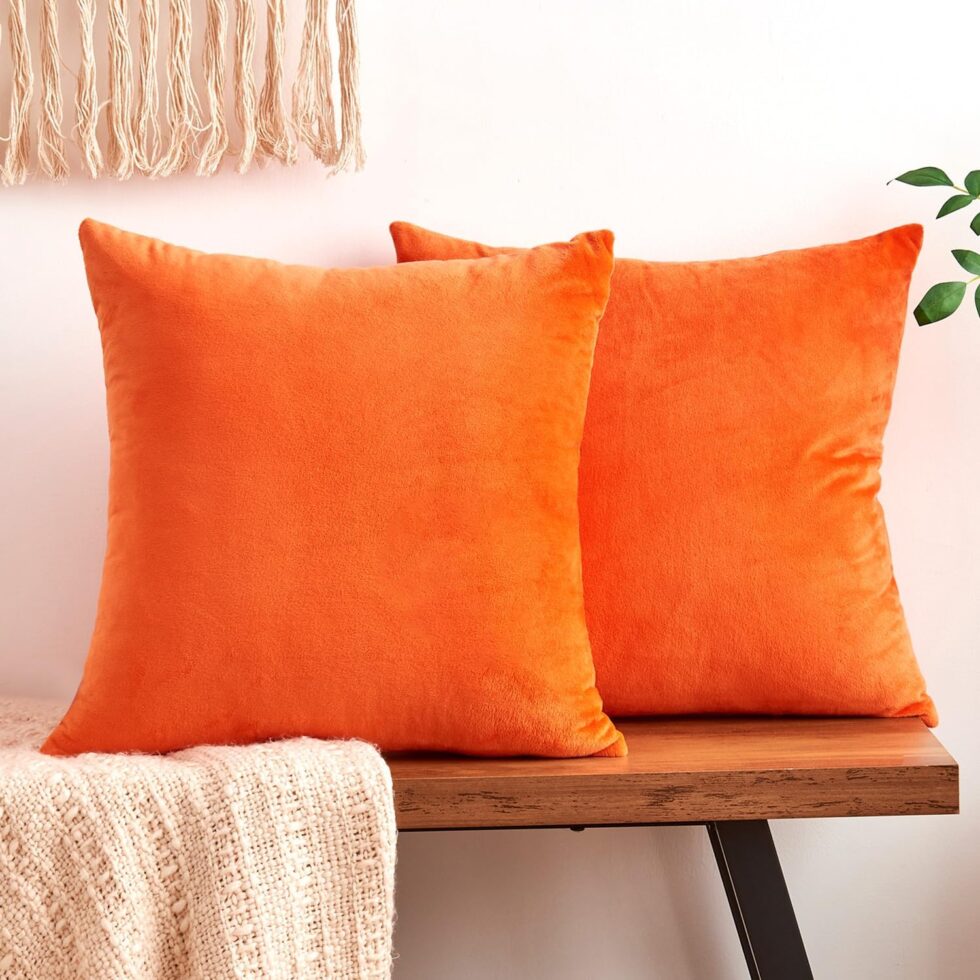 Fall Orange Throw Pillow Covers Decorative Velvet Set of 2 18x18 Inch Pillow Covers, Soft Burnt Orange Pillowcases for Couch Sofa Bed Living Room, Farmhouse Boho Decor, Accent Cushion Covers