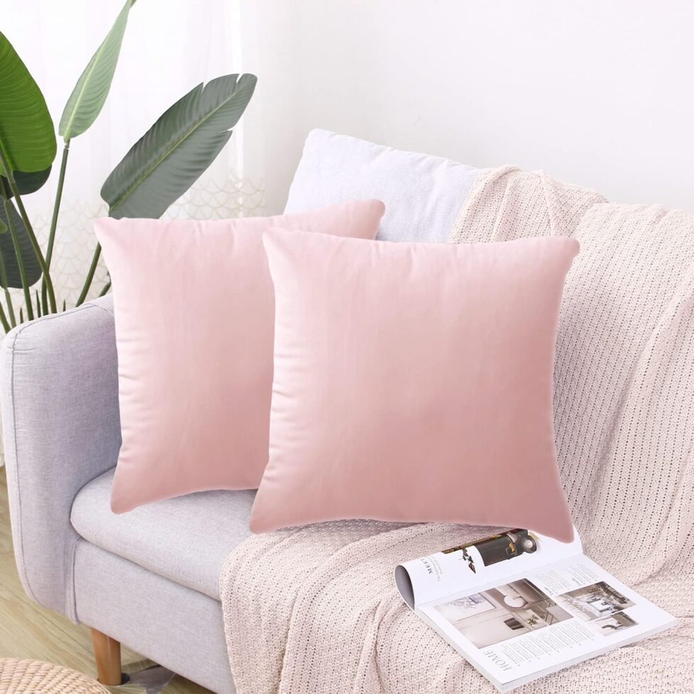 2 Pack Soft Velvet Couch Throw Pillow Covers 18x18 Inch for Sofa Living Room Bedroom (Pink)
