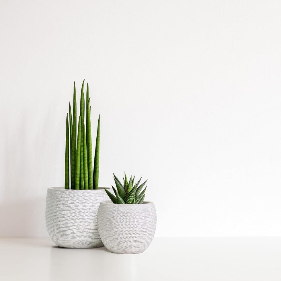 Olly & Rose Barcelona Ceramic Plant Pot Set 2 - White Flower Pots - Indoor & Outdoor Planters (White)