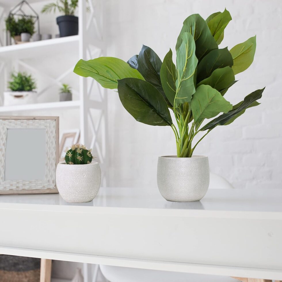 Olly & Rose Barcelona Ceramic Plant Pot Set 2 - White Flower Pots - Indoor & Outdoor Planters (White)